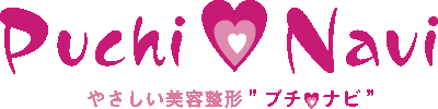 プチナビ